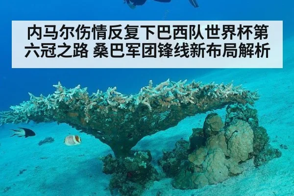 内马尔伤情反复下巴西队世界杯第六冠之路 桑巴军团锋线新布局解析